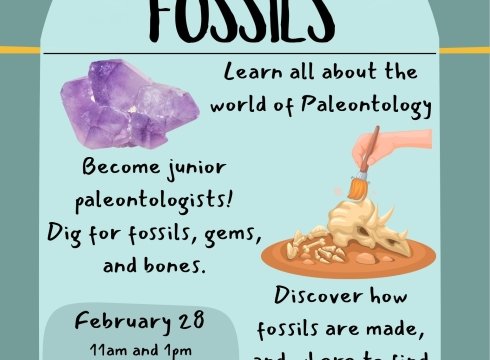 Tots- To- Teens: Fossils
